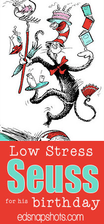 Low Stress Seuss for His Birthday pin