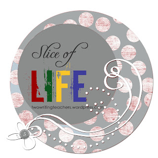 Slice of Life 11 :: 2012 1 sols 5 years w1 4