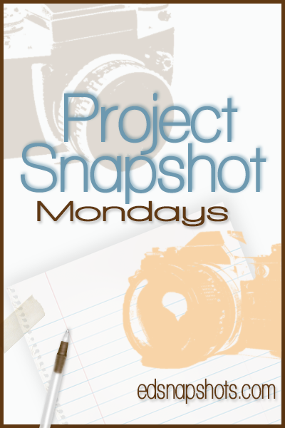 Project Snapshot {Week 8}