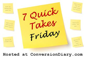 Seven Quick Takes and a Saintly Giveaway |Everyday Snapshots