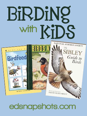 Birding with Kids | Everyday Snapshots