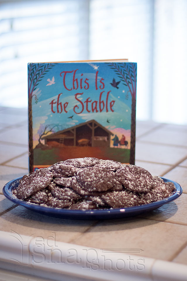 Christmas Picture Book Cookie Exchange Stable