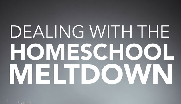 Dealing with the Homeschool Meltdown Feature