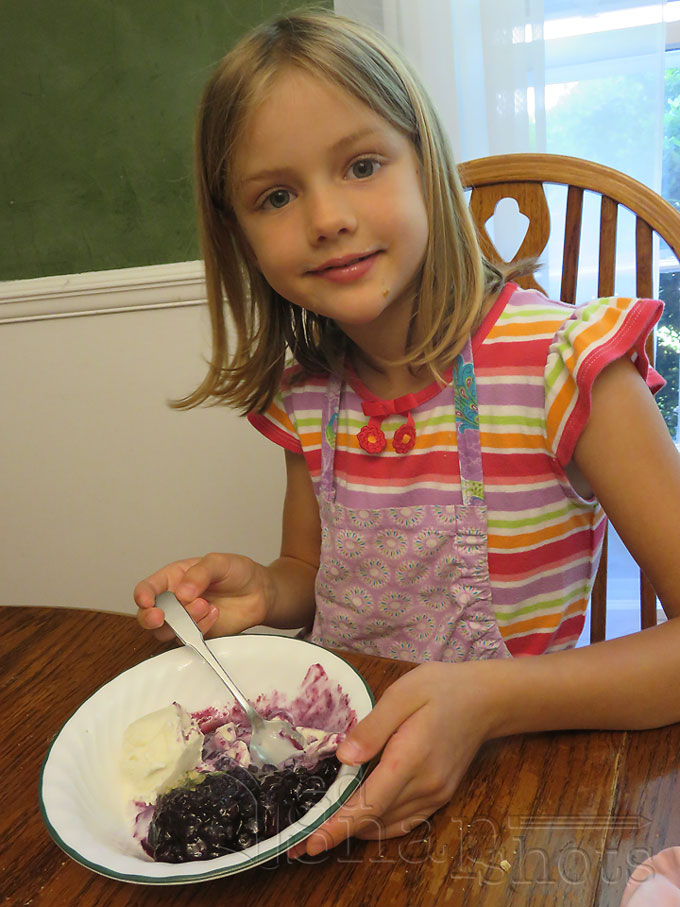 US Geography Maine Blueberries