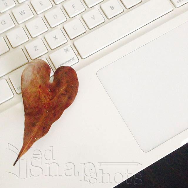 heartleaf