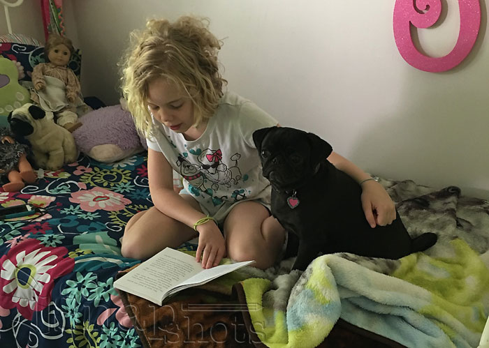 Ten Steps to the Perfect Homeschool Plan Read Aloud