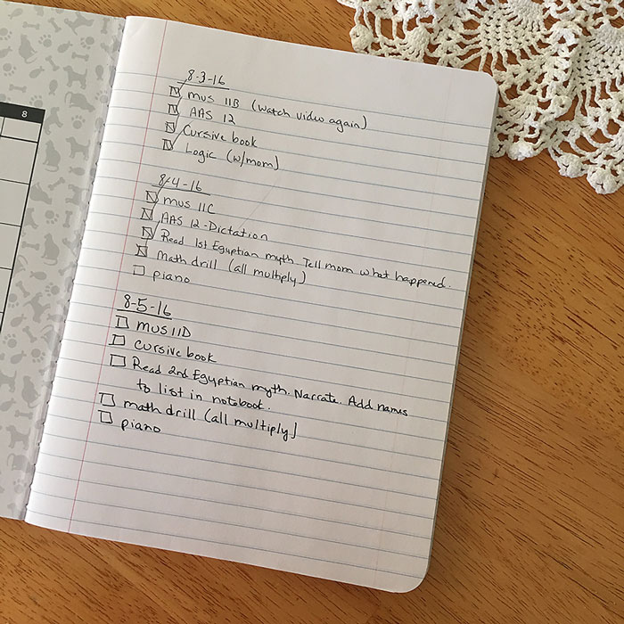 The Best Homeschool Lesson Planner Might Not Be What You Think | Pam ...