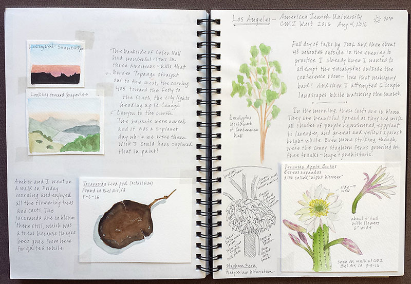 Hobbies for Mom Nature Journaling sketches