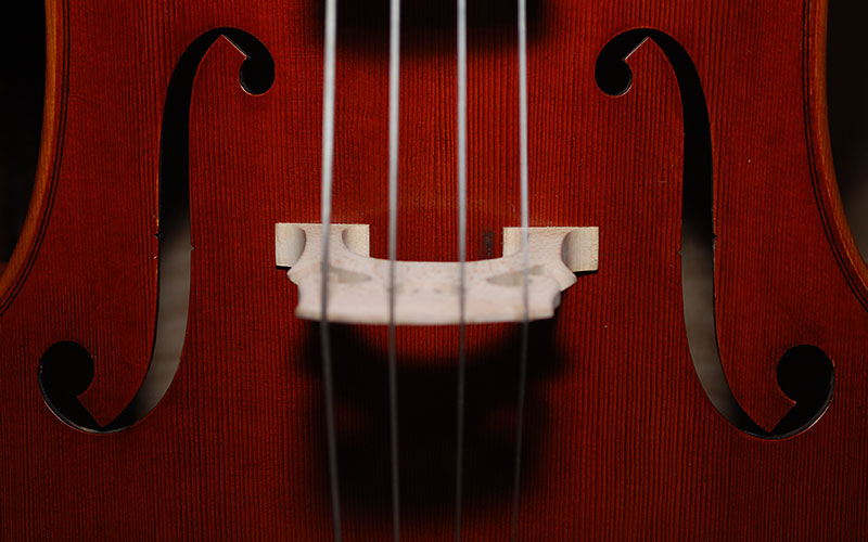 Hobbies for Homeschool Moms Cello