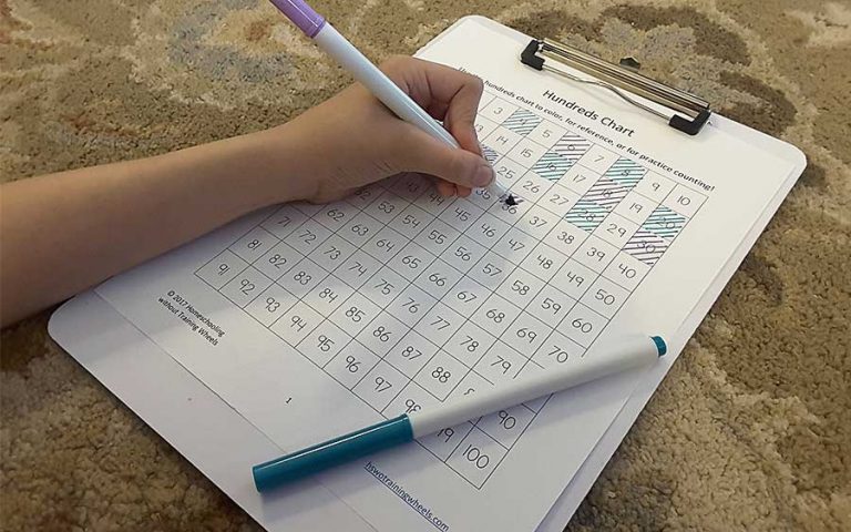 Are You Skipping This Important Math Skill in Your Homeschool? (Skip Counting)