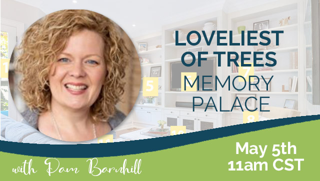PamBarnhillVideoCover Loveliest of Trees Memory Palace Pam REPLAY