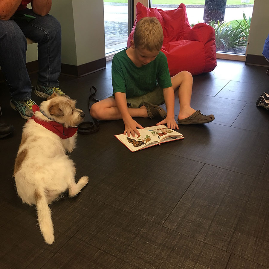 boy reading to dog at library