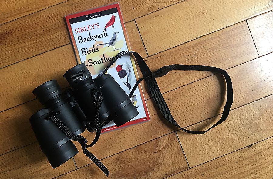 binoculars and bird guide