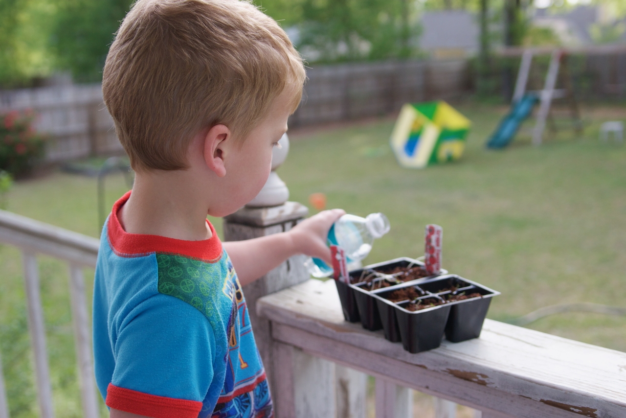 boy watering seedlings