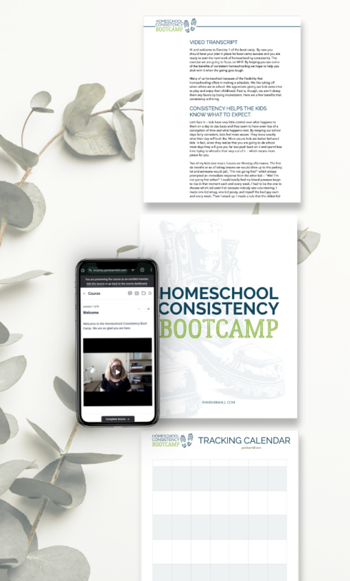 Homeschool Consistency Boot Camp