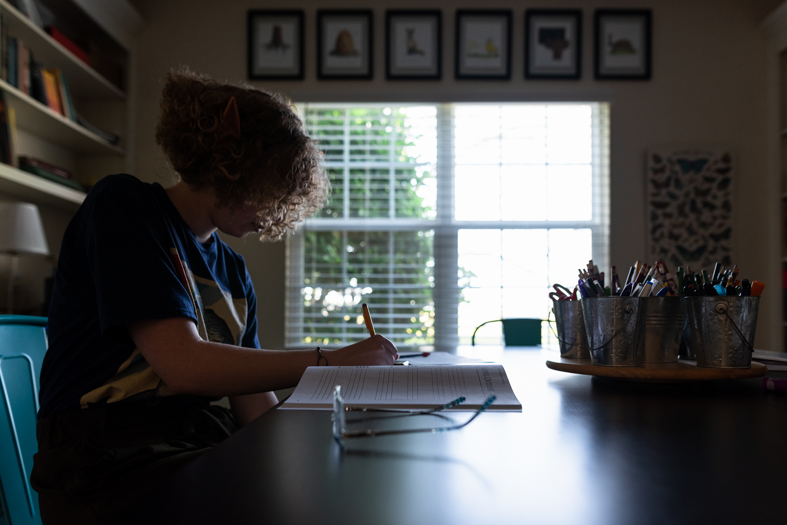 Navigating Success: A Four-Year Homeschool High School Planner 1 Pamditl 87