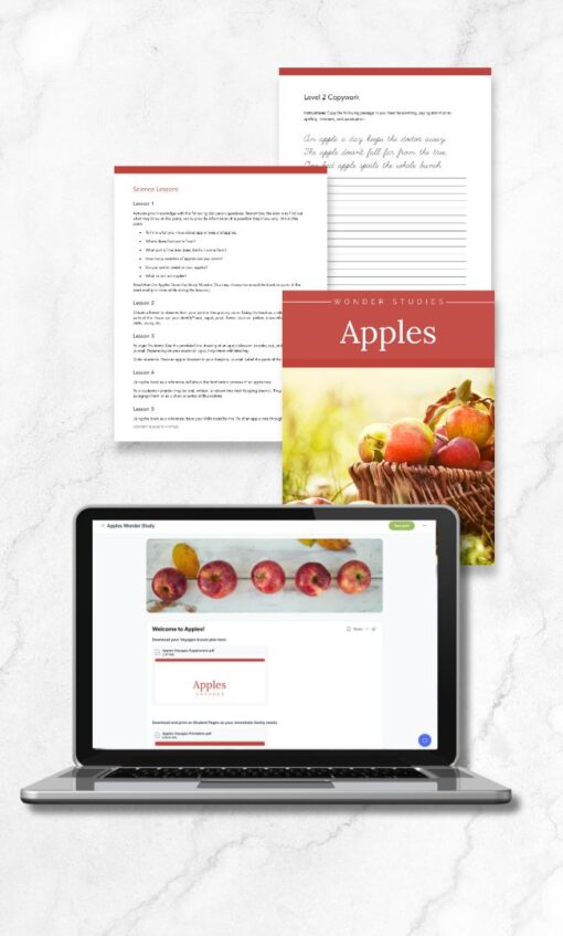 Apples Wonder Studies - Image 2