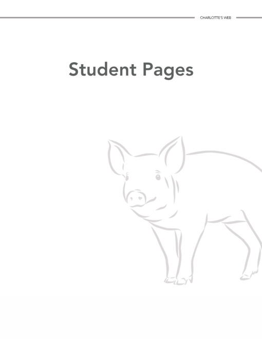 Language Arts Together Bundle 3 - Image 8